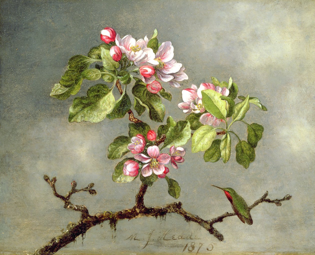 Fleurs de pommier et un colibri, 1875 - Martin Johnson Heade