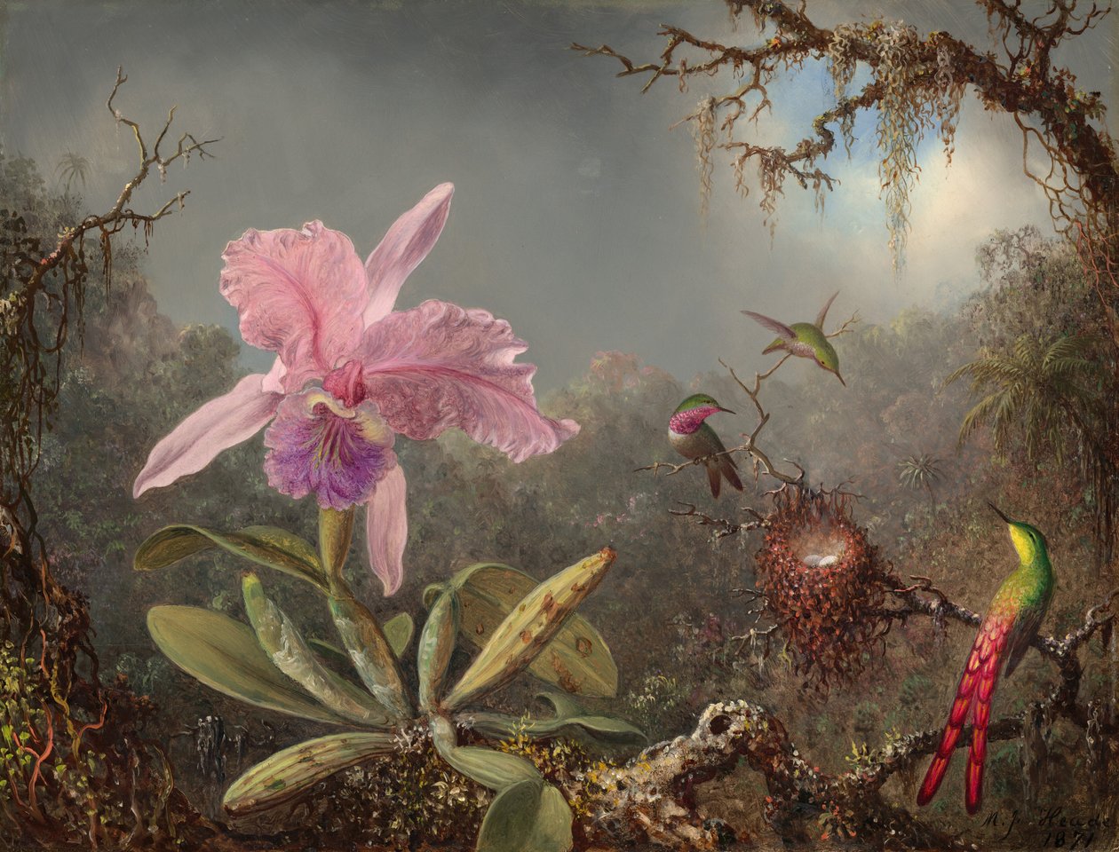 Orchidée Cattleya et trois colibris, 1871 - Martin Johnson Heade