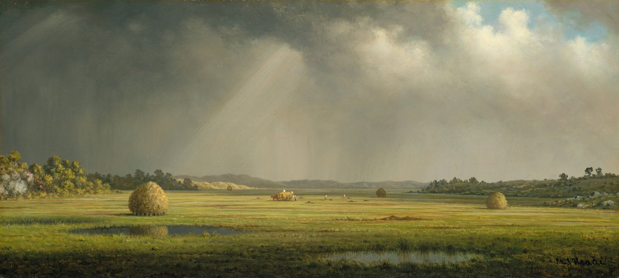 Prairies de Newburyport - Martin Johnson Heade