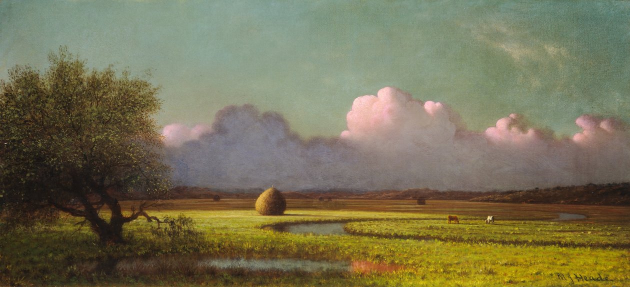 Lumière du Soleil et Ombre : Les Marais de Newbury - Martin Johnson Heade