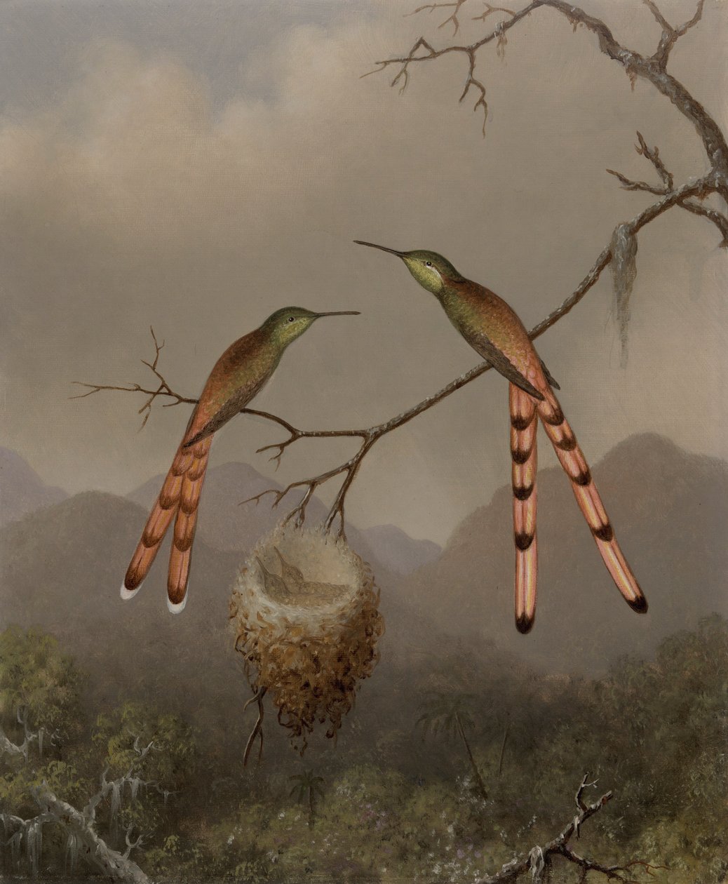 Deux colibris avec leurs petits - Martin Johnson Heade