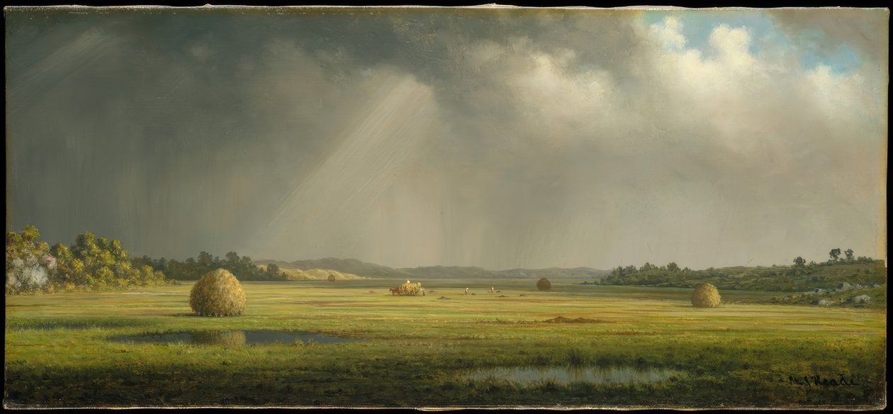 Prairies de Newburyport - Martin Johnson Heade