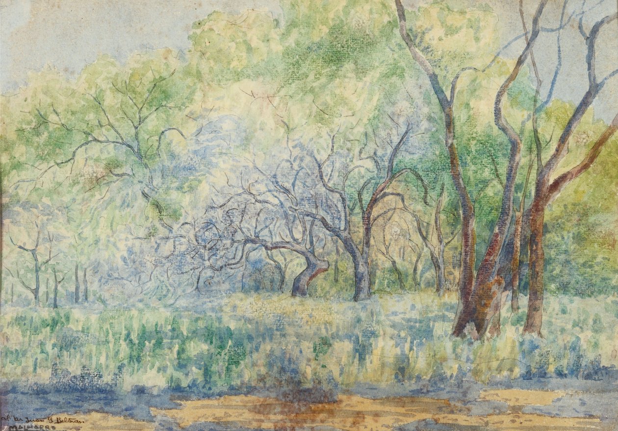 Paysage - Martín Malharro