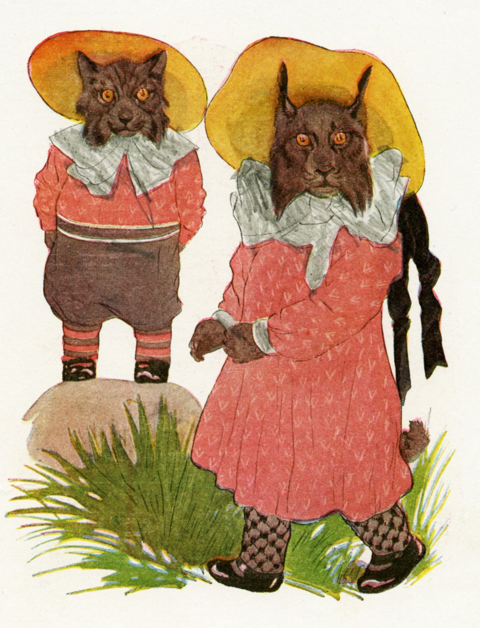 Lynx roux et lynx du Canada - Martin Ross