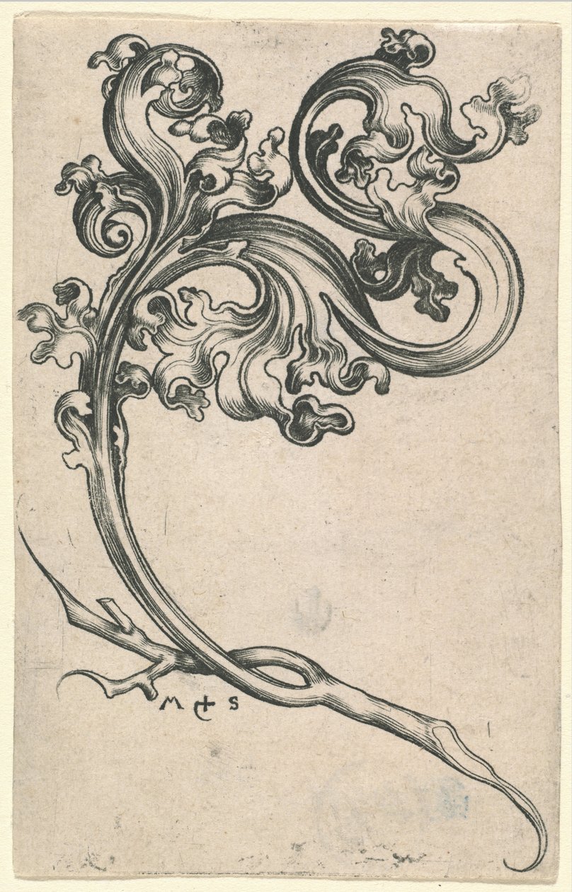 Ornement de Feuille - Martin Schongauer