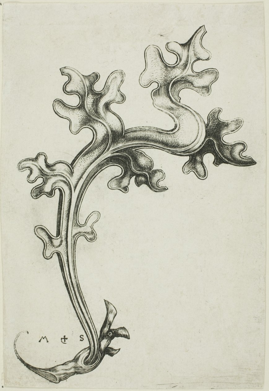 Ornement en forme de feuille - Martin Schongauer