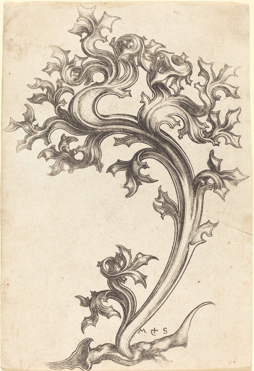 Ornement de Chardon - Martin Schongauer