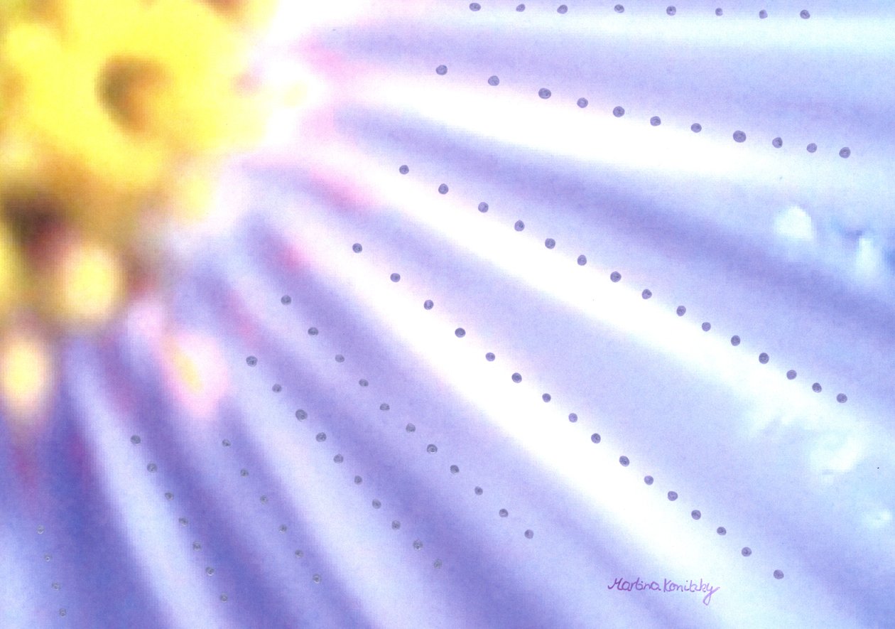 Fleur bleue - Martina Konitzky