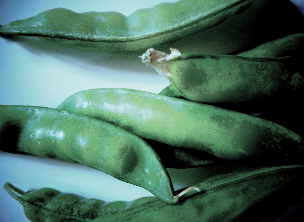 Cosses de pois - Martina Konitzky