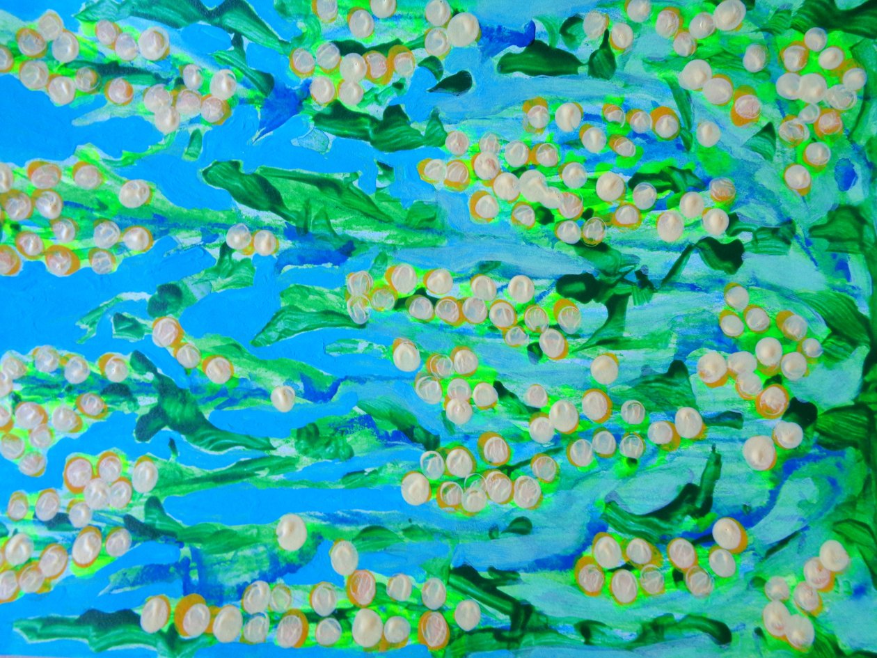 Fleurs1 - Martina Konitzky