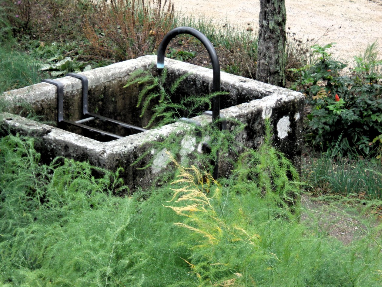 Dans le jardin - Martina Konitzky