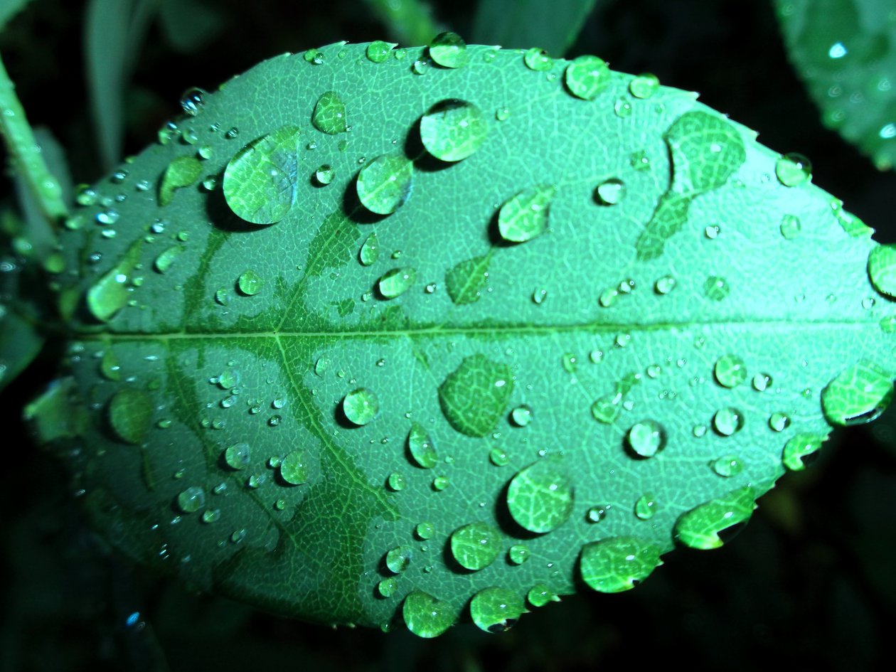 Gouttes de pluie - Martina Konitzky