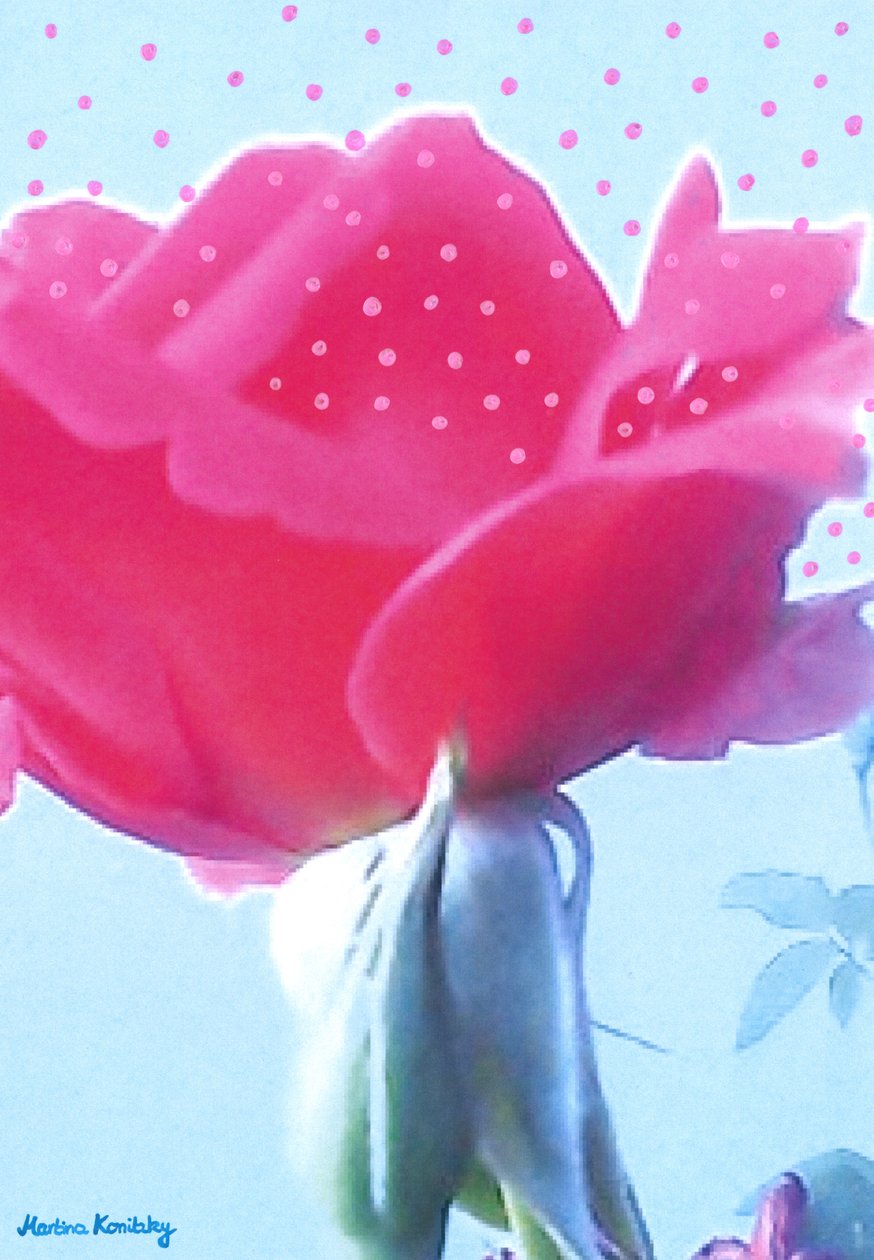 Rose rose - Martina Konitzky
