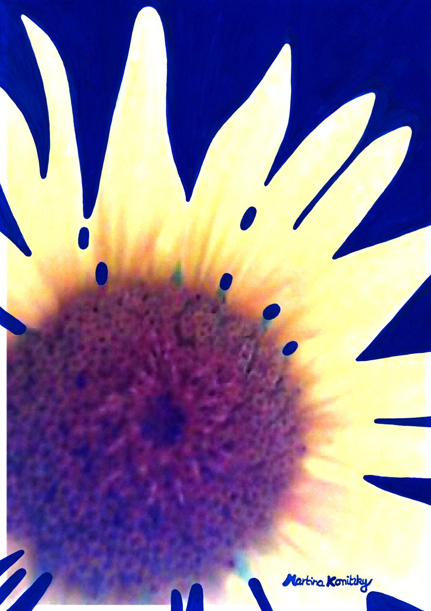 Tournesol bleu foncé - Martina Konitzky