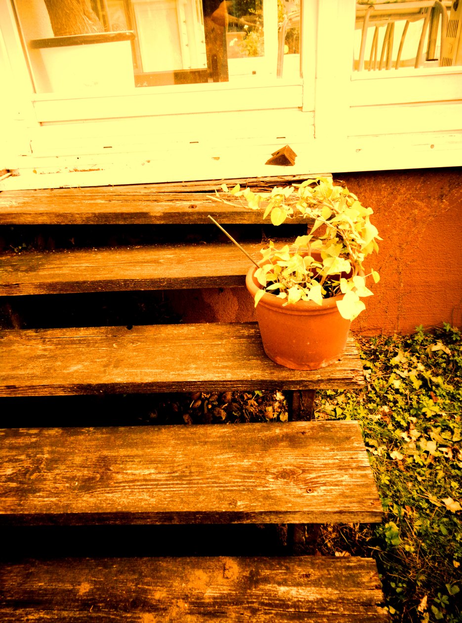 Escalier de véranda - Martina Konitzky