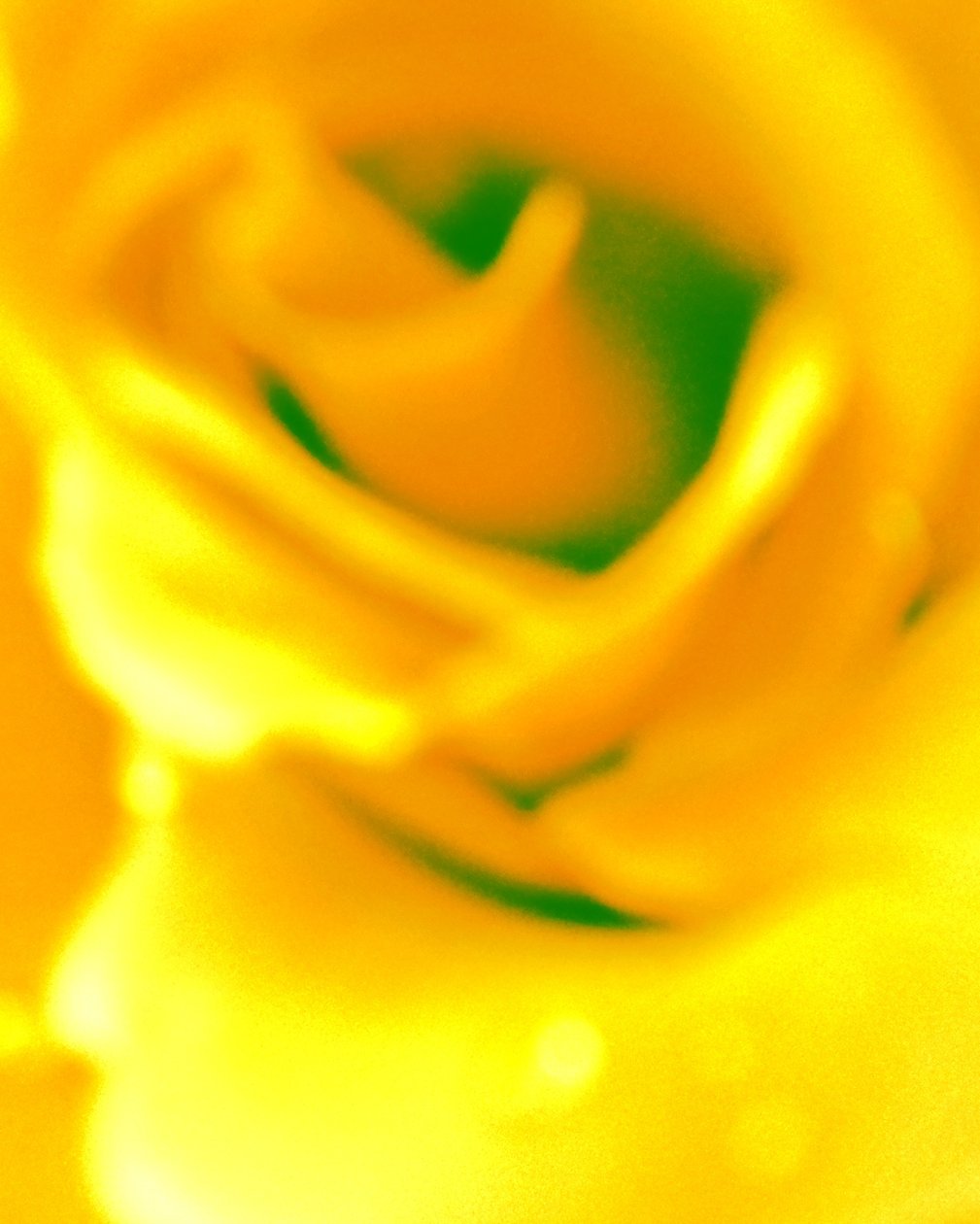 Jaune - Martina Konitzky