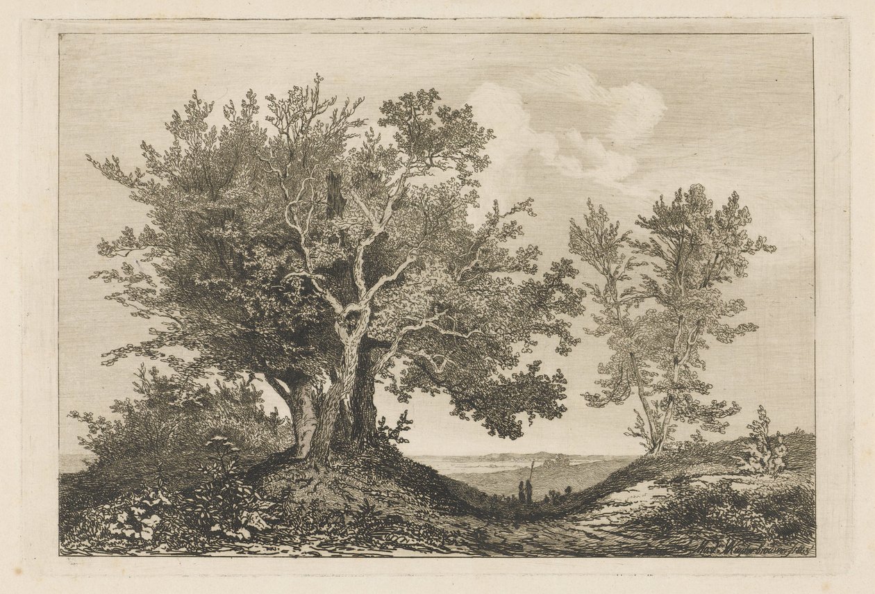 Chemin de campagne entre deux rangées d