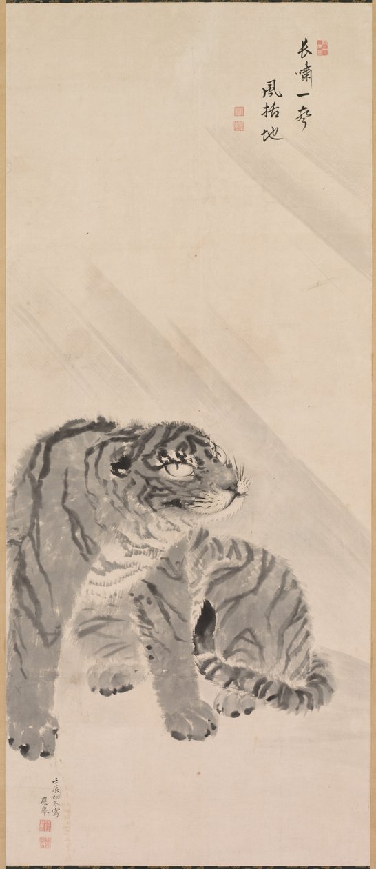 Tigre dans le vent et la pluie, 1776 - Maruyama Okyo