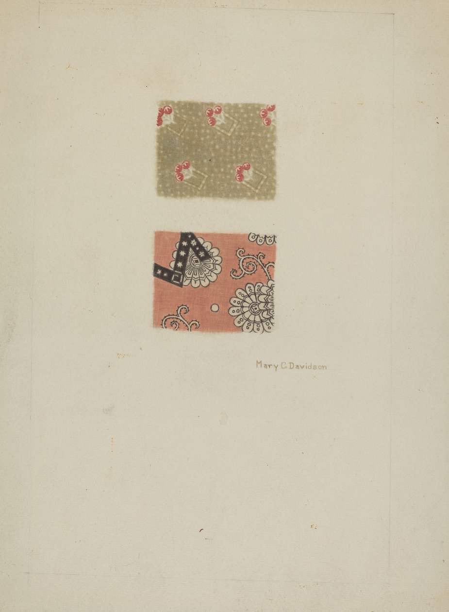 Coton imprimé - Mary C. Davidson