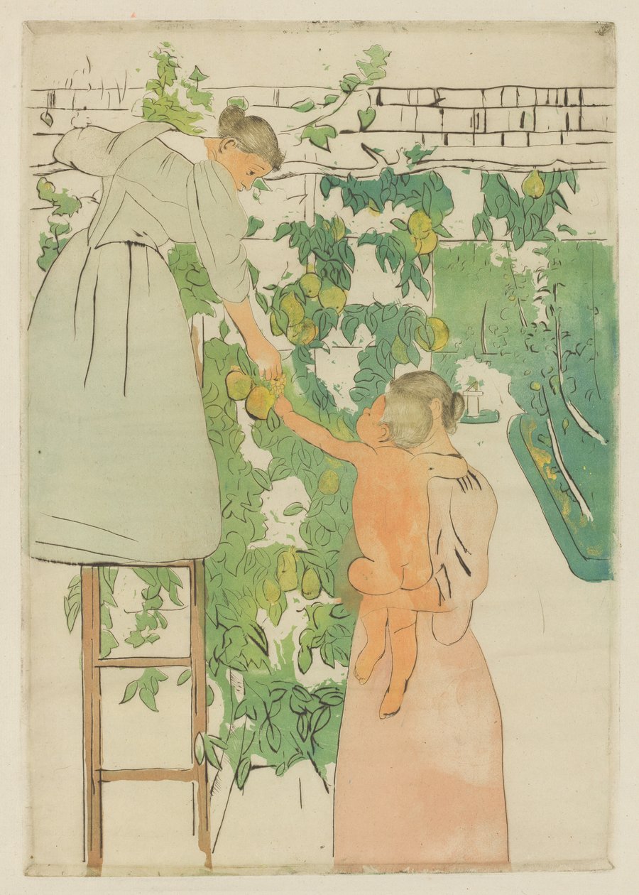 Récolte de fruits, vers 1893 - Mary Cassatt