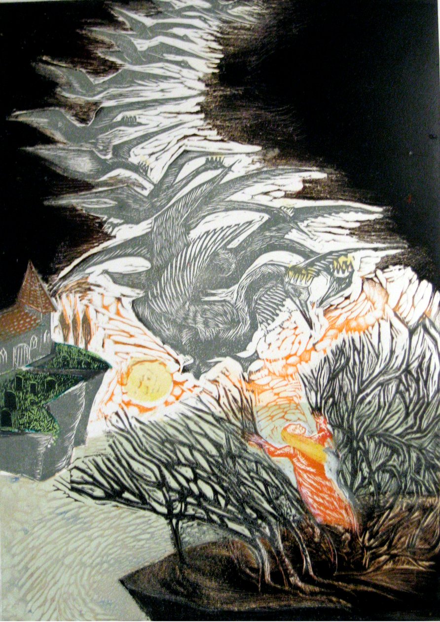 Les cygnes sauvages - Mary Kuper