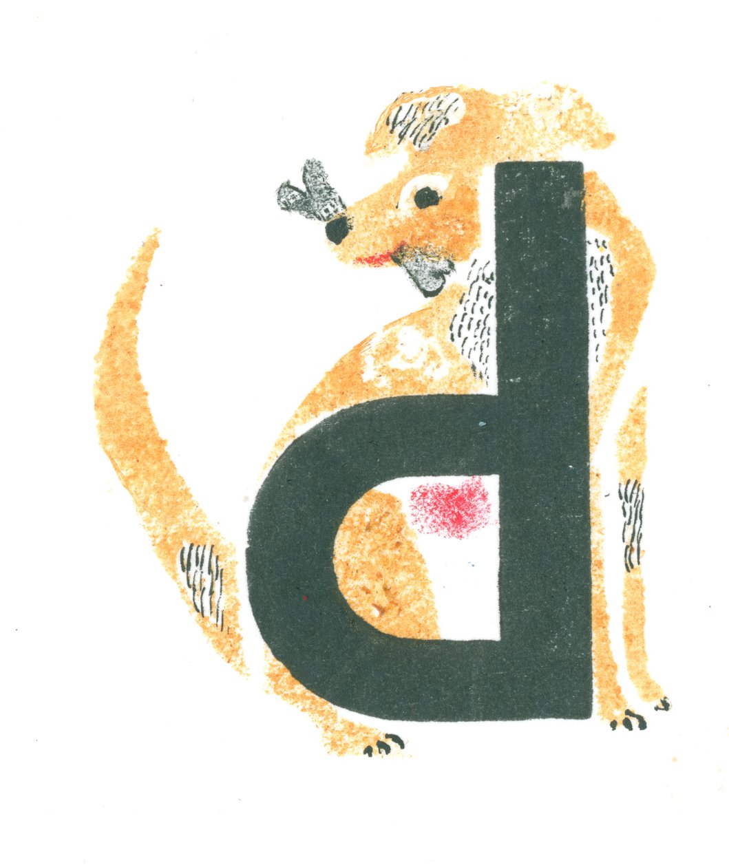 d pour chien - Mary Kuper