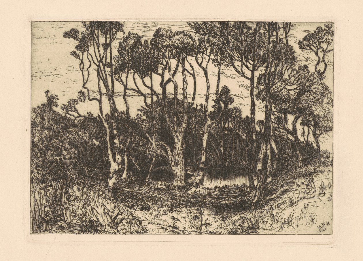 Solitude - Mary Nimmo Moran