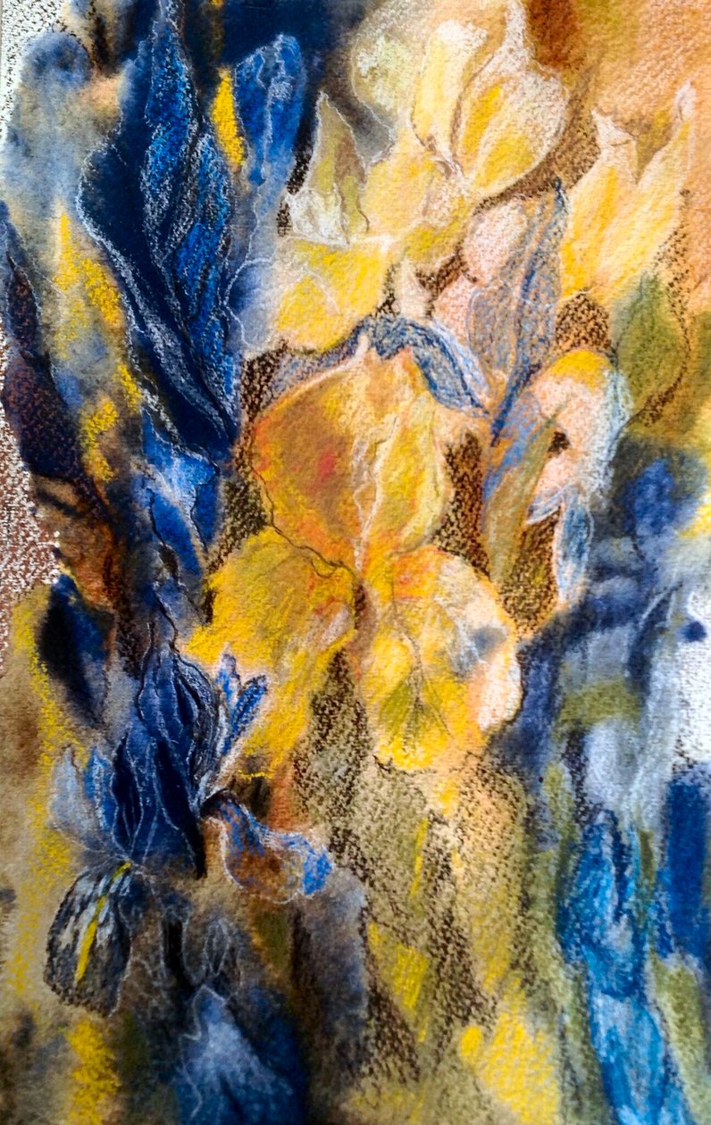 iris doré et bleu - Mary Smith