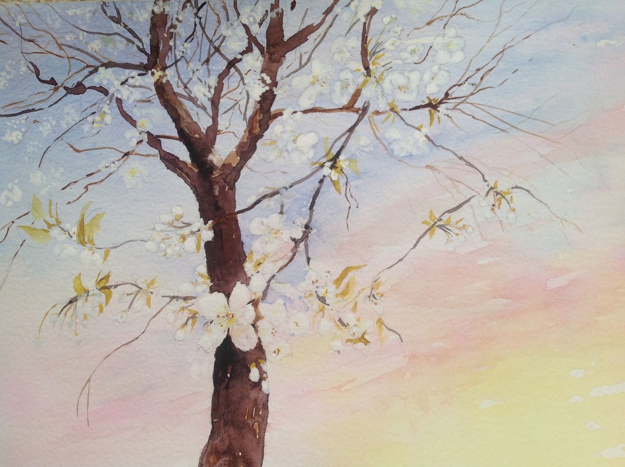 fleur de cerisier blanc - Mary Smith