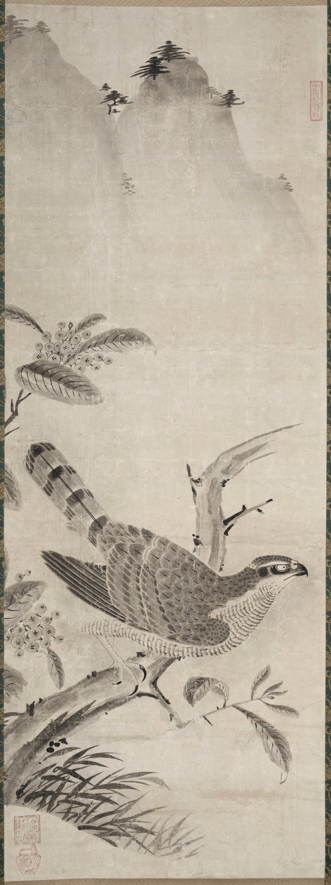 Faucon, milieu des années 1500 - Masayoshi Fujiwara