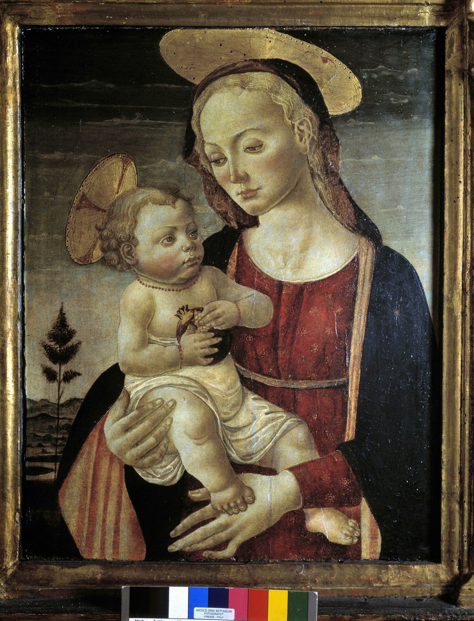 Image inconnue - Master of San Miniato