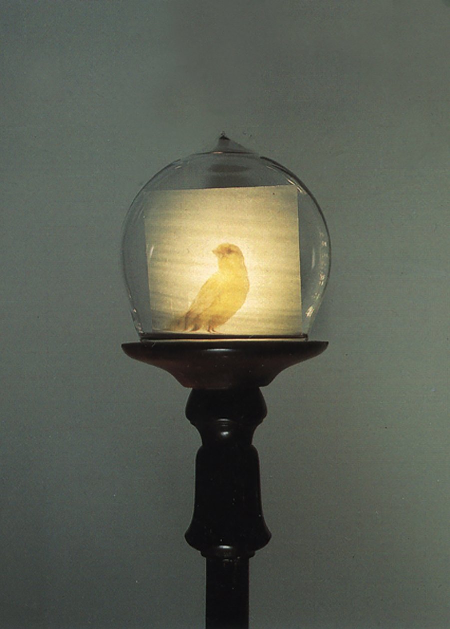 Antique - Mat Collishaw