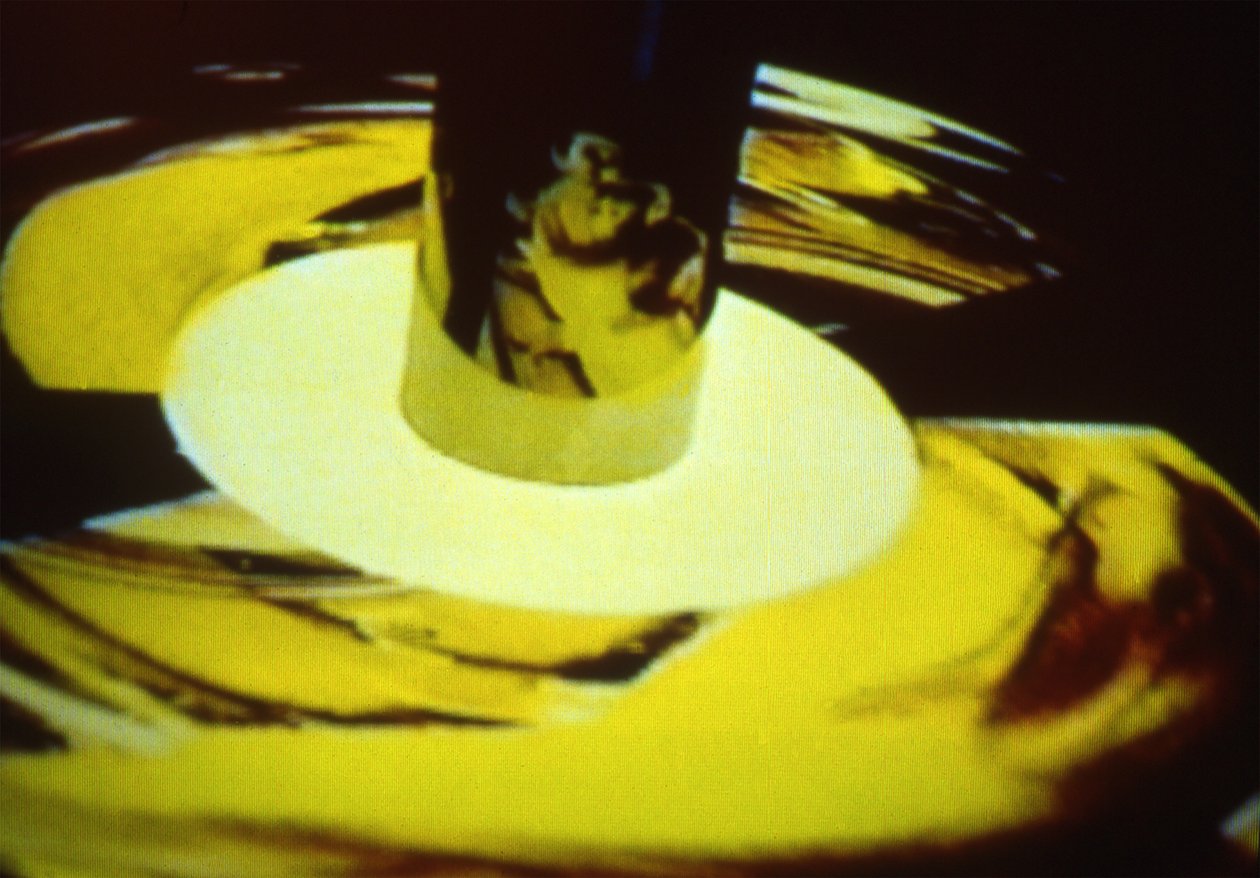 Le singe de Harlow - Mat Collishaw