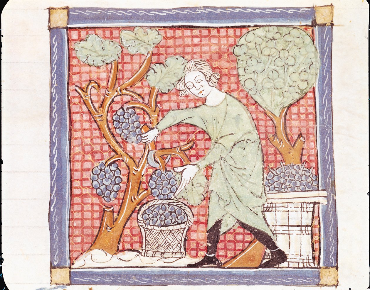 Fol.59r Septembre : La moisson - Matfre Ermengaut