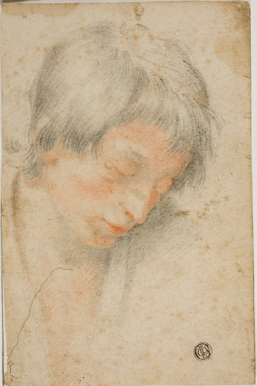 Tête de jeune regardant vers le bas - Matteo Rosselli