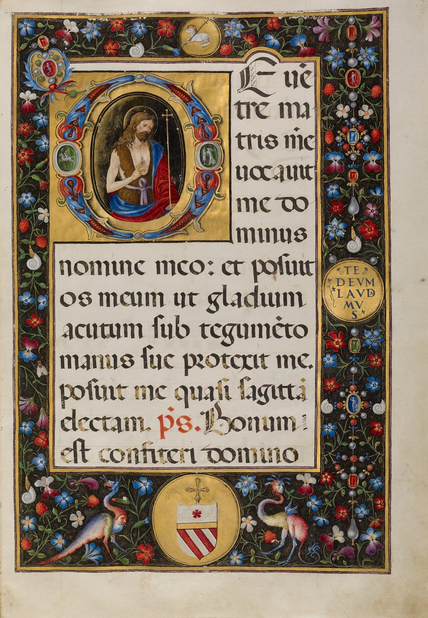 Initiale D : Saint Jean Baptiste - Matteo da Milano