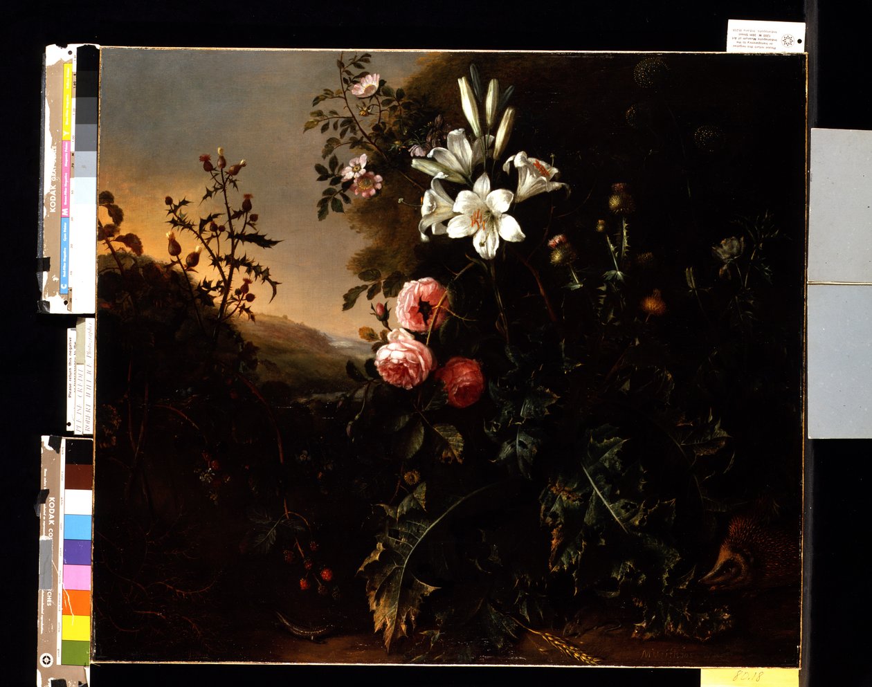 Nature morte, vers 1670 - Matthias Withoos