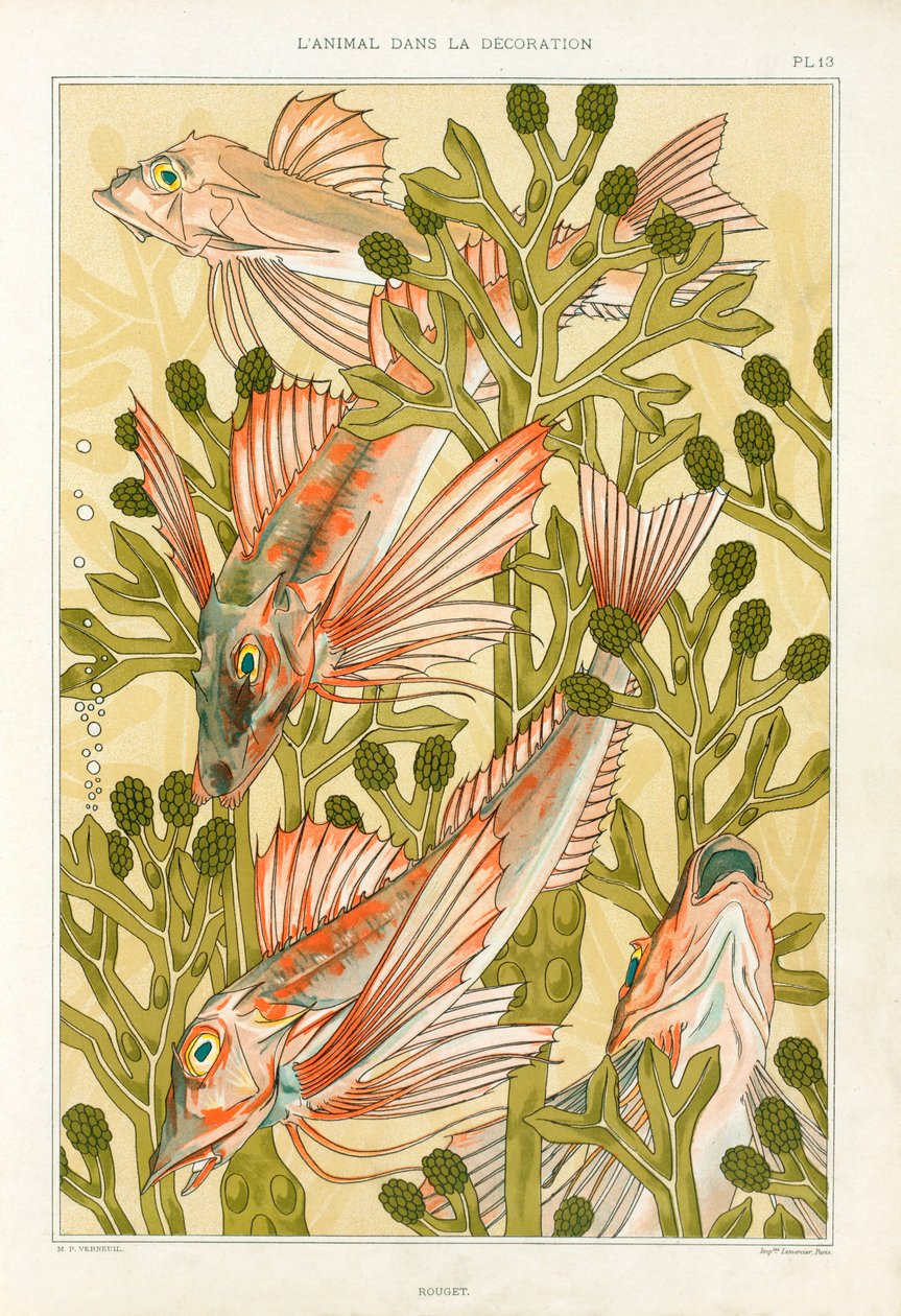 Rouget, pub. 1897 - Maurice Pillard Verneuil