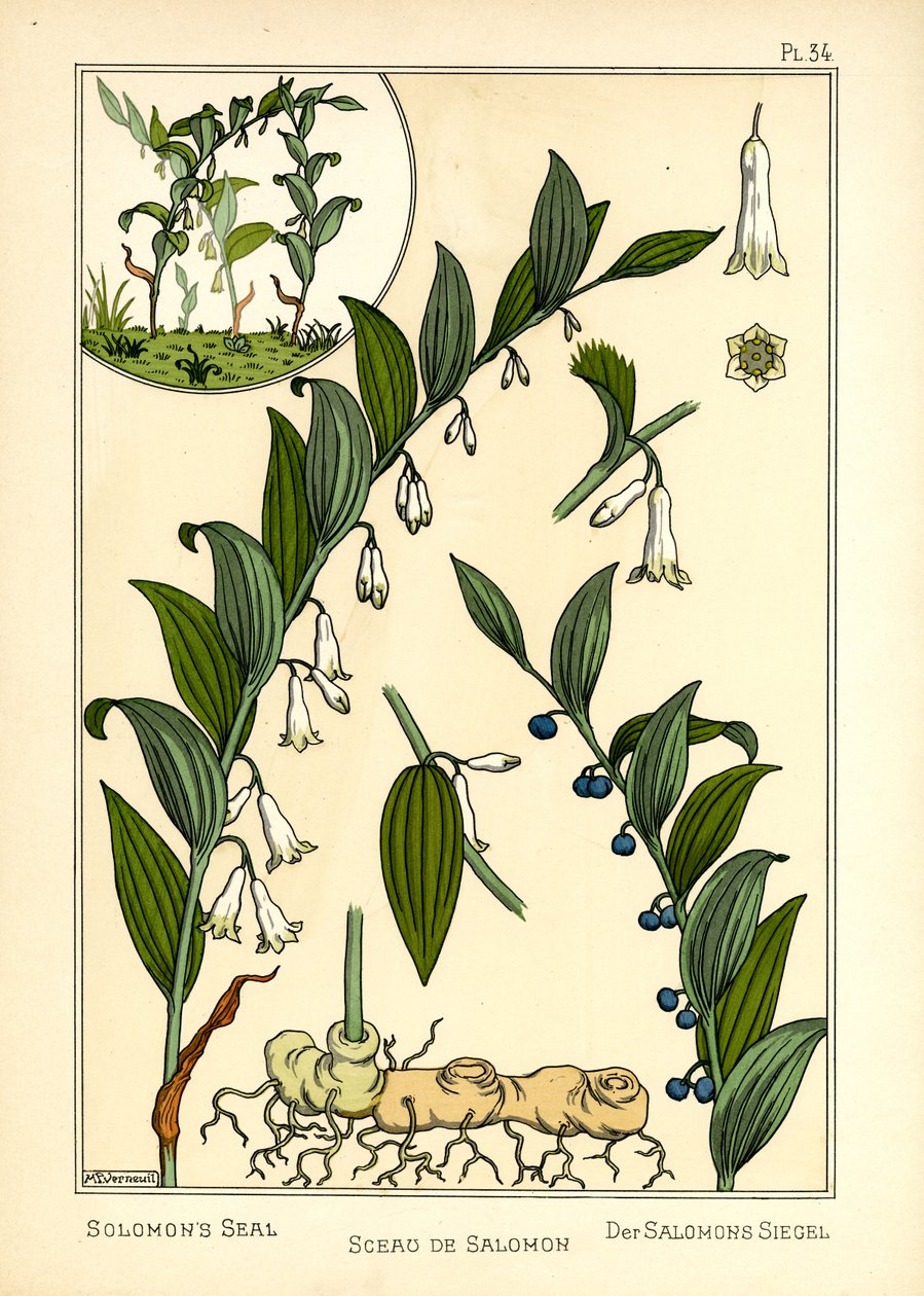 Le Sceau de Salomon - Maurice Pillard Verneuil