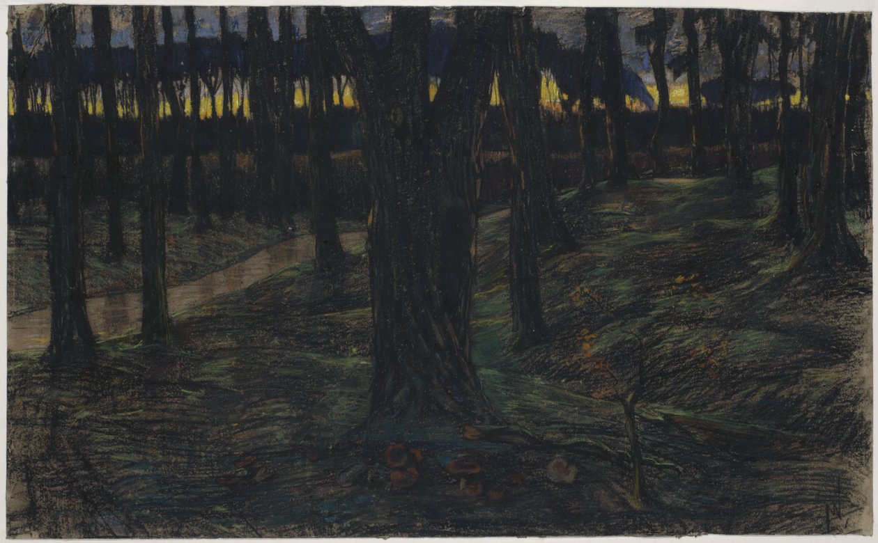 Vue de forêt au coucher du soleil - Maurits van der Valk