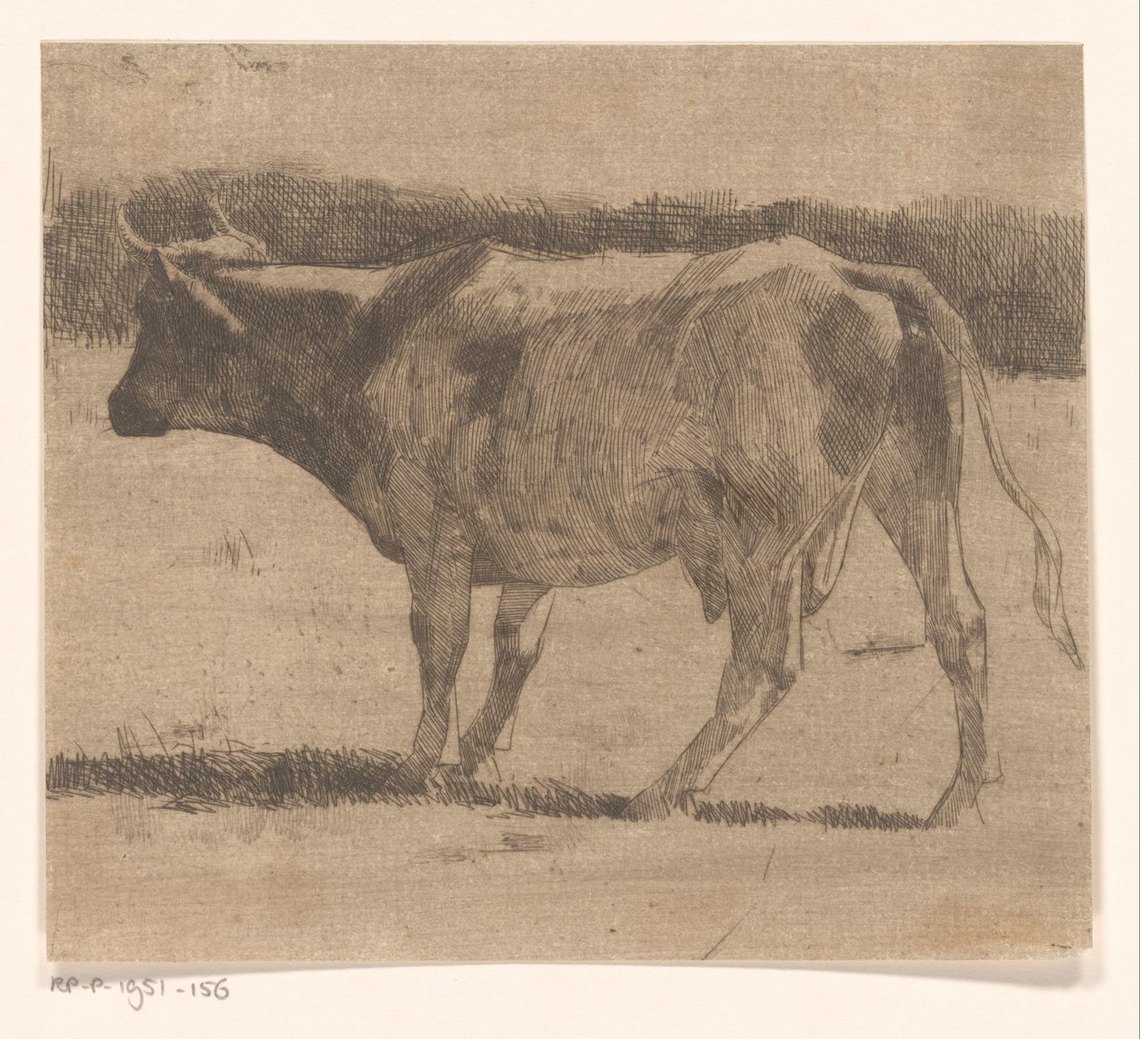 Vache dans un pré - Maurits van der Valk