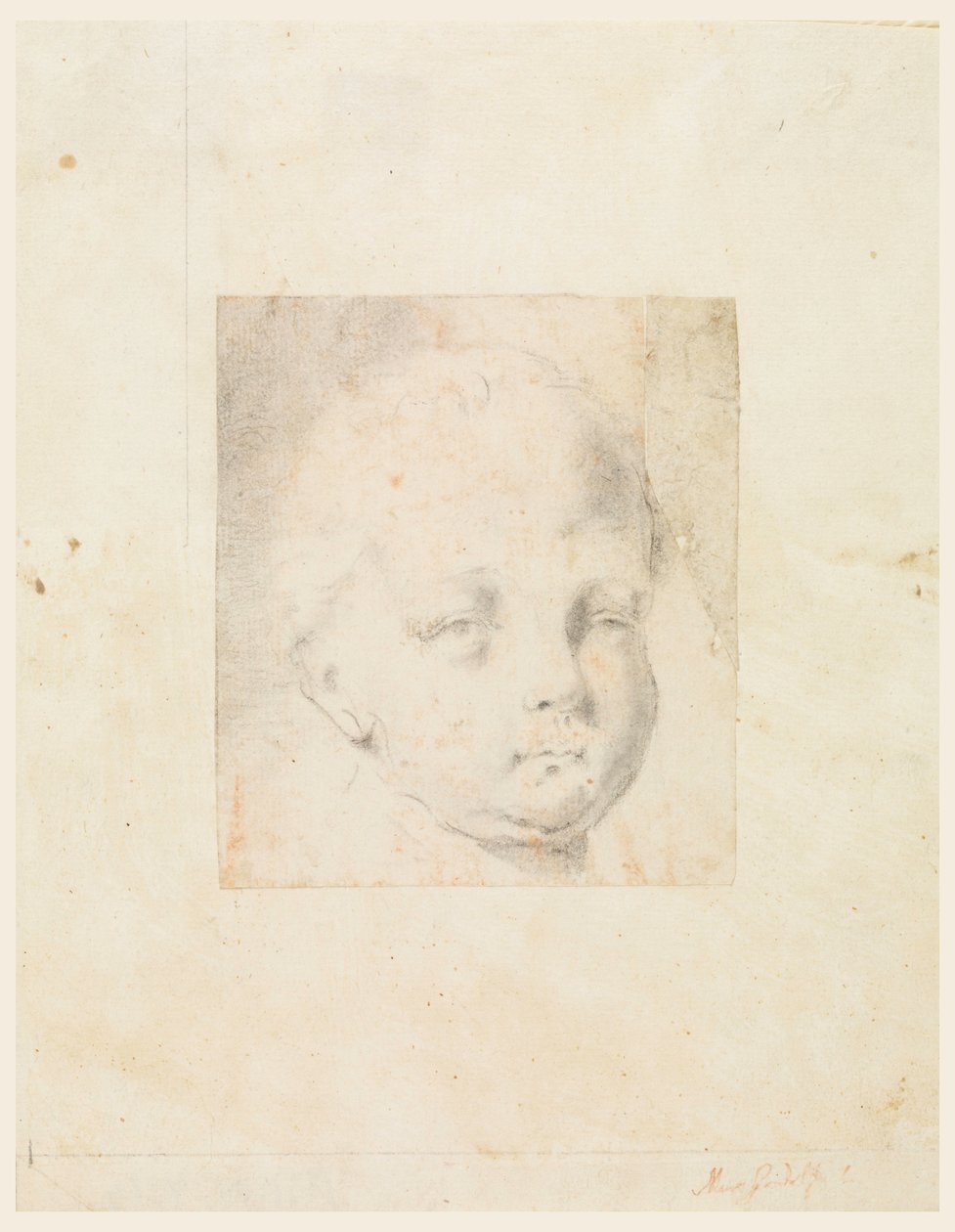 Dessin, étude : Tête de garçon, 1810-34 - Mauro Gandolfi