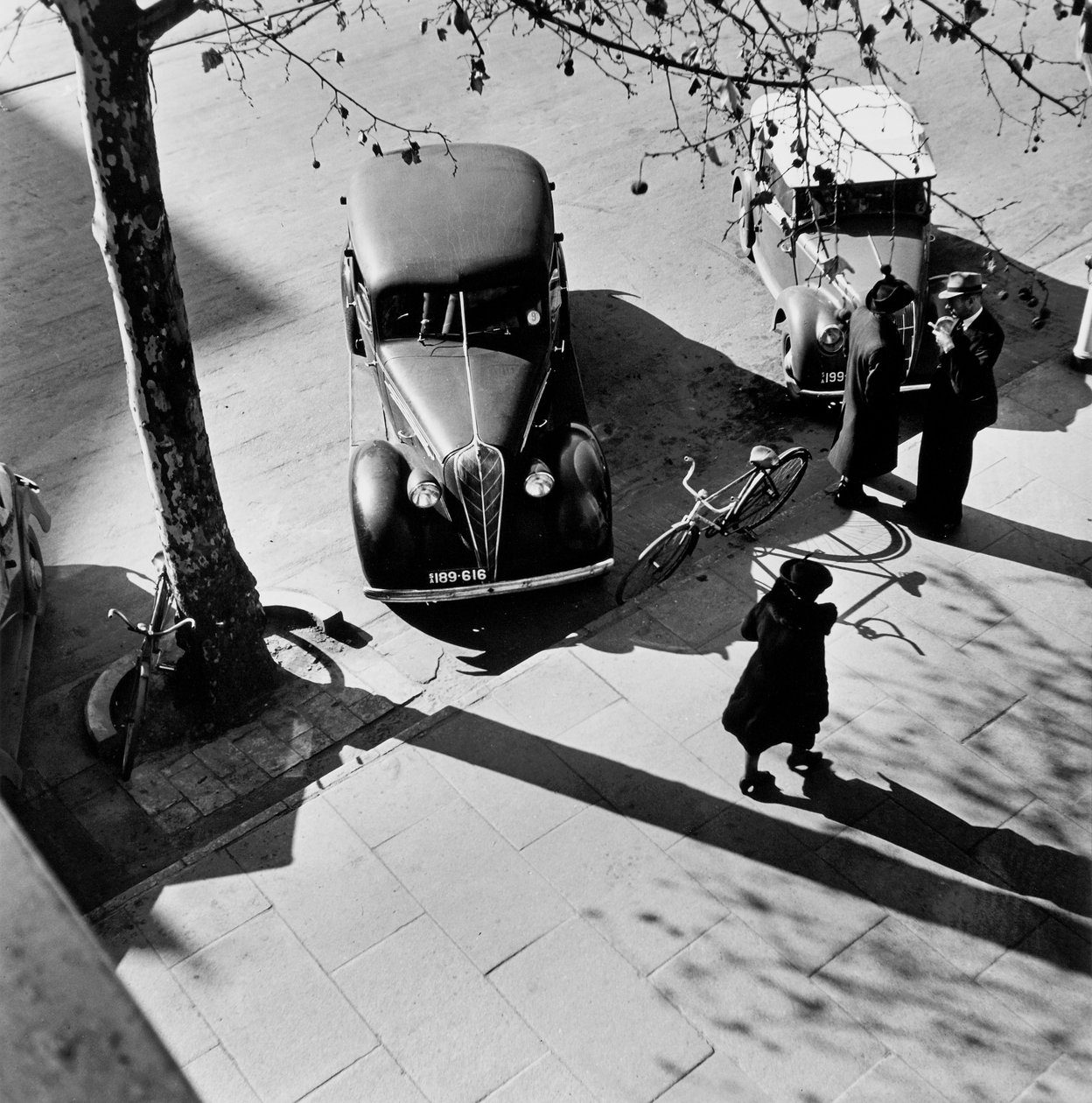 Adélaïde - Max Dupain