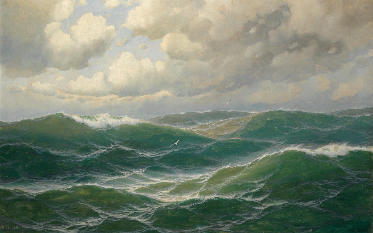 Mouettes sur les vagues - Max Jensen