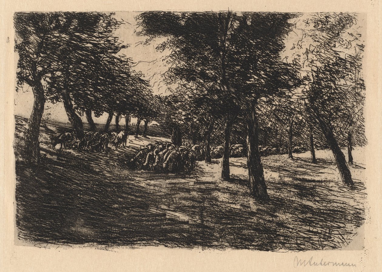 Troupeau de moutons sous les arbres - Max Liebermann