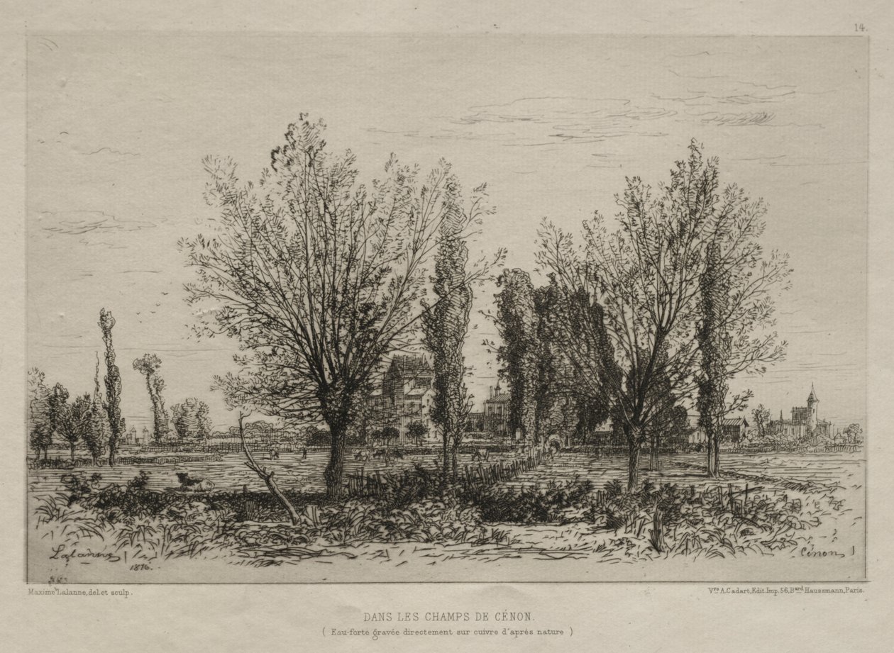 Dans les champs de Cénon - Maxime Lalanne