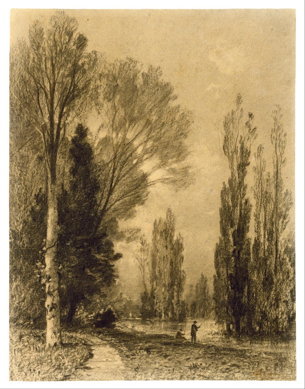 Paysage fluvial en soirée - Maxime Lalanne