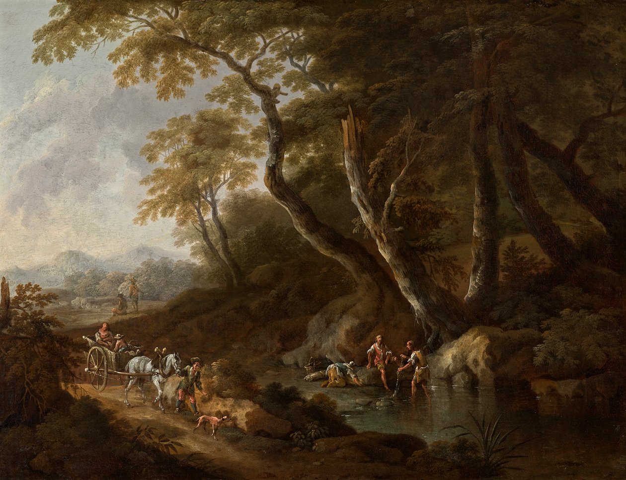 Paysage forestier avec plan d