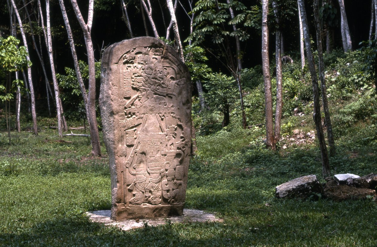 Stèle 1, période classique terminale (830-930 ap. J.-C.) - Mayan