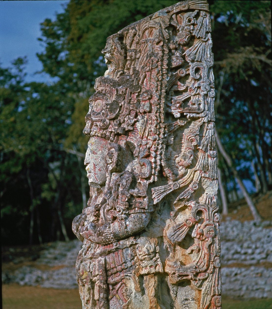 Stèle H, Plaza de Ceremonias, 731 AD - Mayan